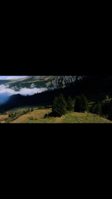 Audi commercial 
Little remember of that fun time we had back in the days with @candidethovex 
#enjoystudios #jahismycopilot